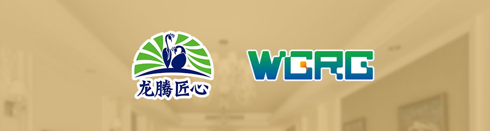 WGRG裝配式石膏整裝