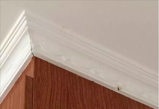 石膏線接縫處開裂 石膏線接縫處開裂